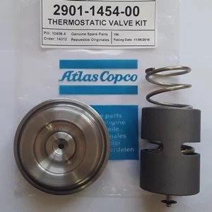 Thermostatic Valve Kit 2901145400